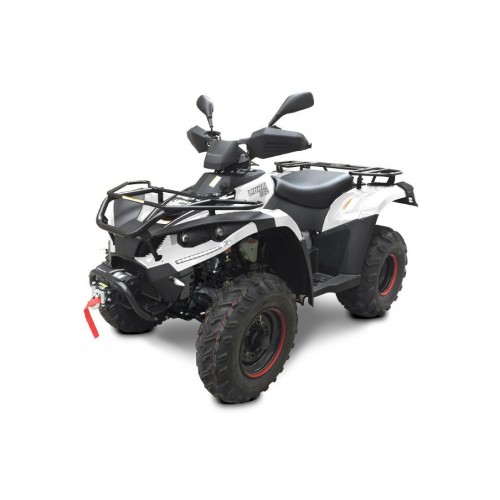Linhai 300 EFI 4×4 T3b